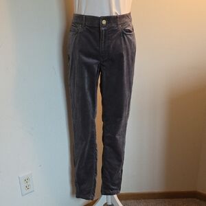 White House Black Market Grey Velvet Skimmer Pants